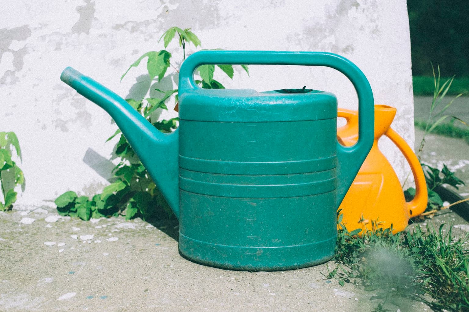 Arrosoirs dans un jardin en plein été : arroser malgré la sécheresse grâce à l'eau de pluie